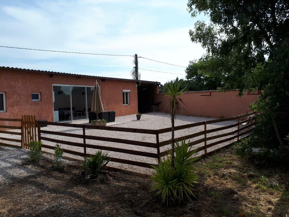 Maison Plain Pied Villelongue-de-la-Salanque Dış mekan fotoğraf