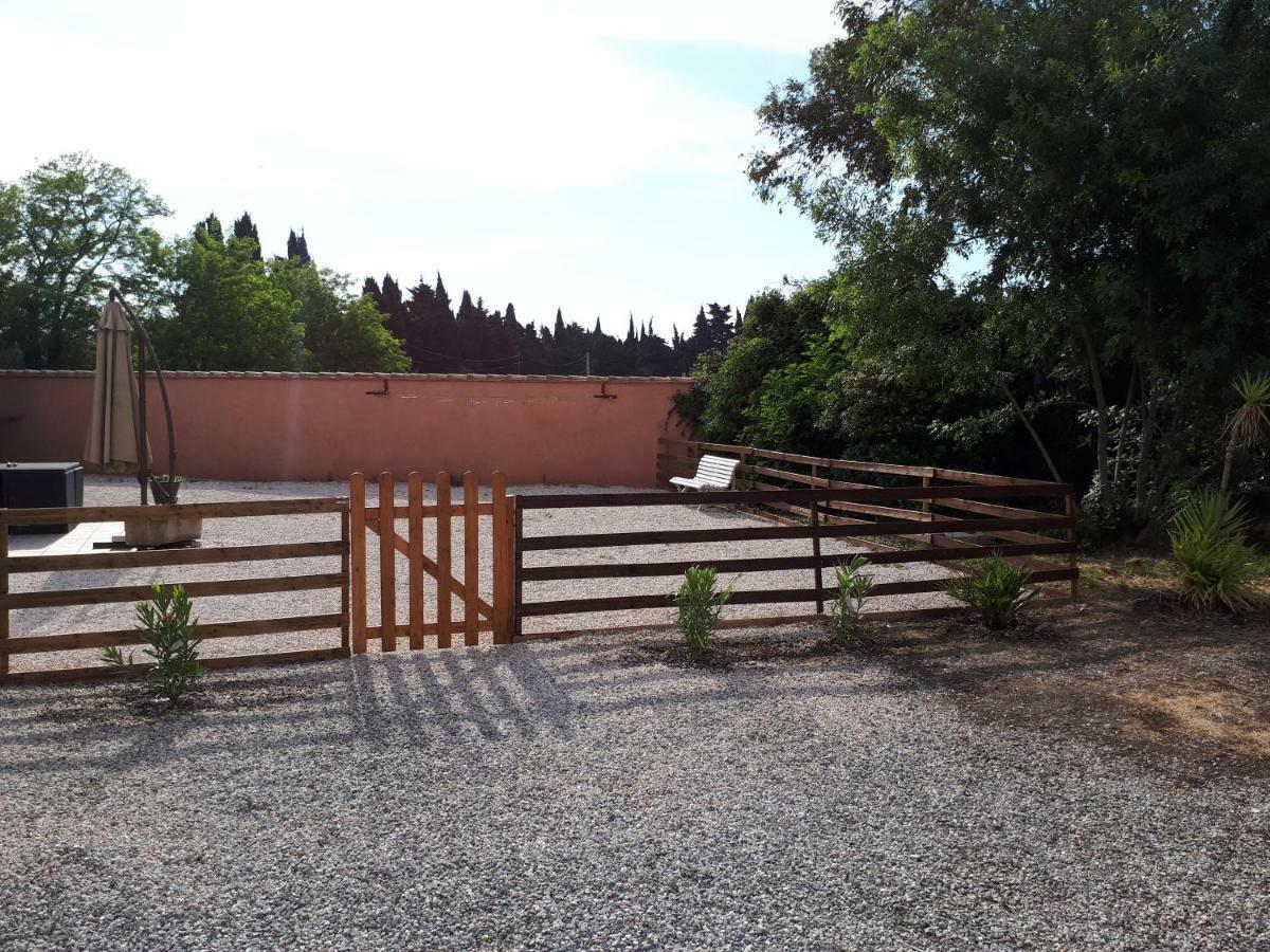 Maison Plain Pied Villelongue-de-la-Salanque Dış mekan fotoğraf